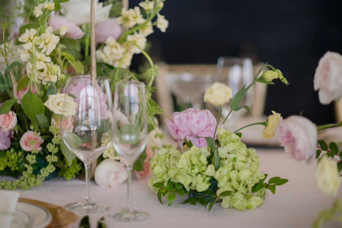 Chloe's Reception