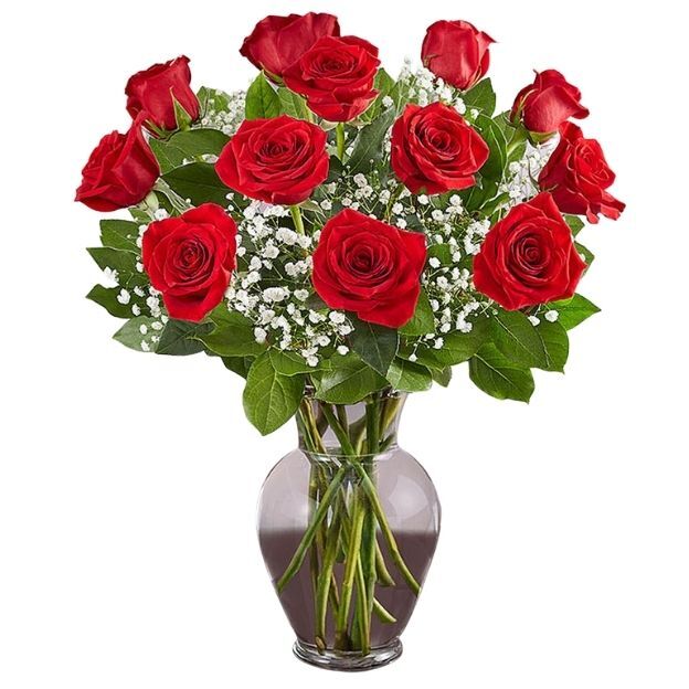 Dozen long-stem blooms in a clear glass vase with fresh greenery and delicate baby’s breath