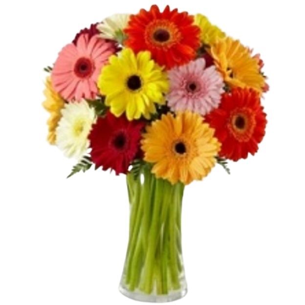 Gerbera daisies in assorted hues, arranged in a clear glass vase.